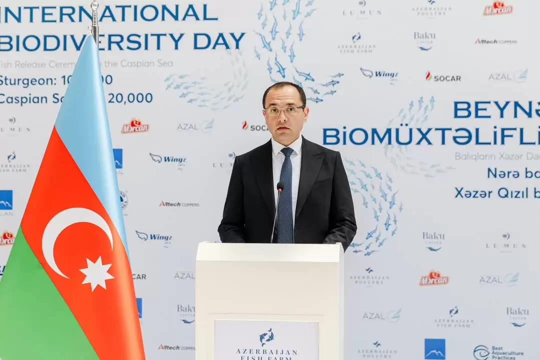 Nazir Məcnun Məmmədov koronavirusdan sağaldı