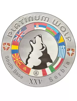 Hərbi qulluqçularımız Serbiyada keçirilən beynəlxalq təlimdə iştirak edirlər