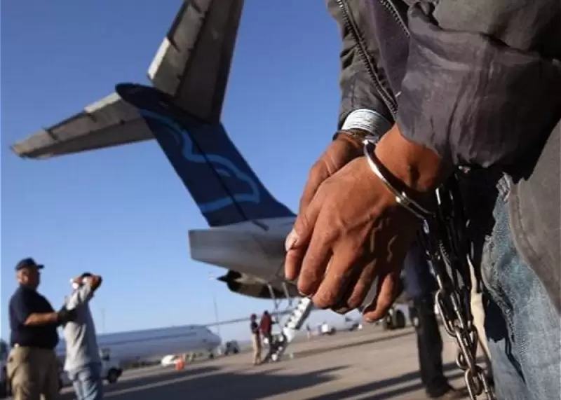 Elçin Təhməzov Bosniya və Herseqovinadan Azərbaycana ekstradisiya edildi