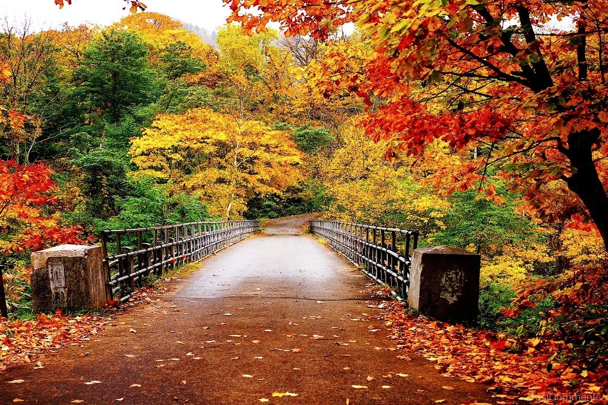 Sentyabrın havası belə olacaq