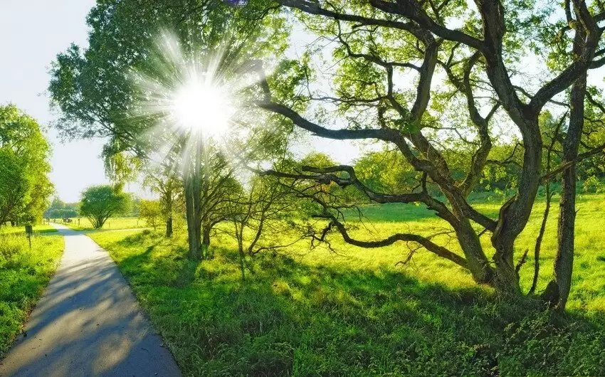 Sabah 40 dərəcəyə yaxın isti gözlənilir