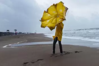 Həftəsonu küləkli hava şəraiti ilə bağlı sarı xəbərdarlıq verilib