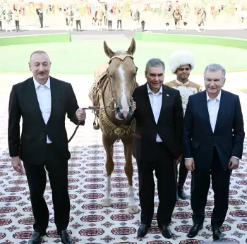 Azərbaycan Prezidenti İlham Əliyevə “Axaltəkə” atı hədiyyə edilib