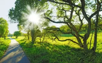 Sabah 40 dərəcəyə yaxın isti gözlənilir