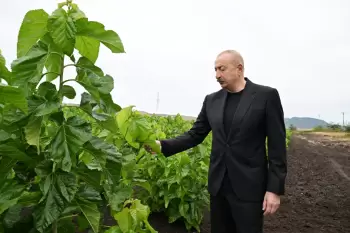 Prezident İlham Əliyev Xocalının Daşbulaq kəndində tut bağında görülmüş işlərlə tanış olub