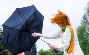 Küləkli hava şəraiti ilə bağlı sarı və narıncı xəbərdarlıq verilib