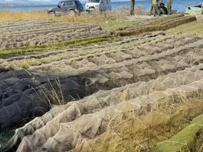 Göyçə gölündə qanunsuz xərçəng və balı ovu alətləri aşkar edilib