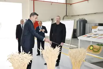 Sabirabad Sənaye Məhəlləsində toxum istehsalı müəssisəsinin fəaliyyəti ilə tanışlıq