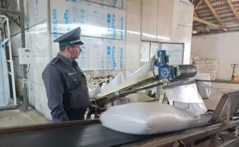 Azərbaycan Rusiyada un idxalını artırıb