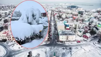 İslndiyada 104 ilin ən güclü yağıntısı qeydə alınıb