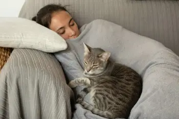 Qısa gündüz yuxusu beynin yeni məlumatları mənimsəməsinə kömək edir