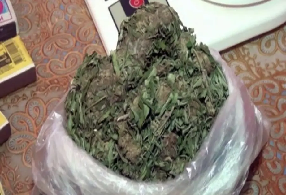 Dağıstan gömrüyü Azərbaycandan gedən avtomobildə 120 kq-dan çox marixuana aşkarlayıb