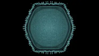 Yaponiyada həyatın mənşəyinə işıq sala biləcək yeni nəhəng virus aşkarlanıb