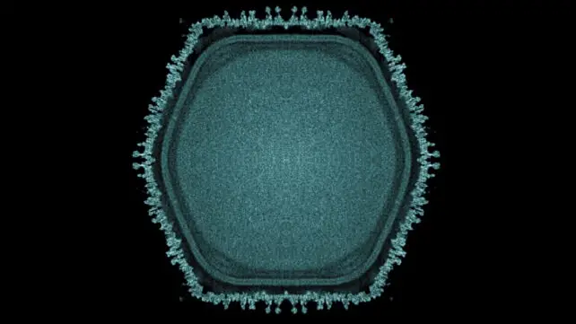 Yaponiyada həyatın mənşəyinə işıq sala biləcək yeni nəhəng virus aşkarlanıb