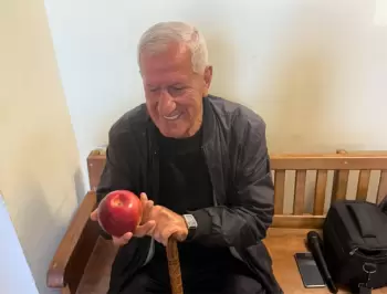 Paşinyana alma atan şəxsə bəraət verilib