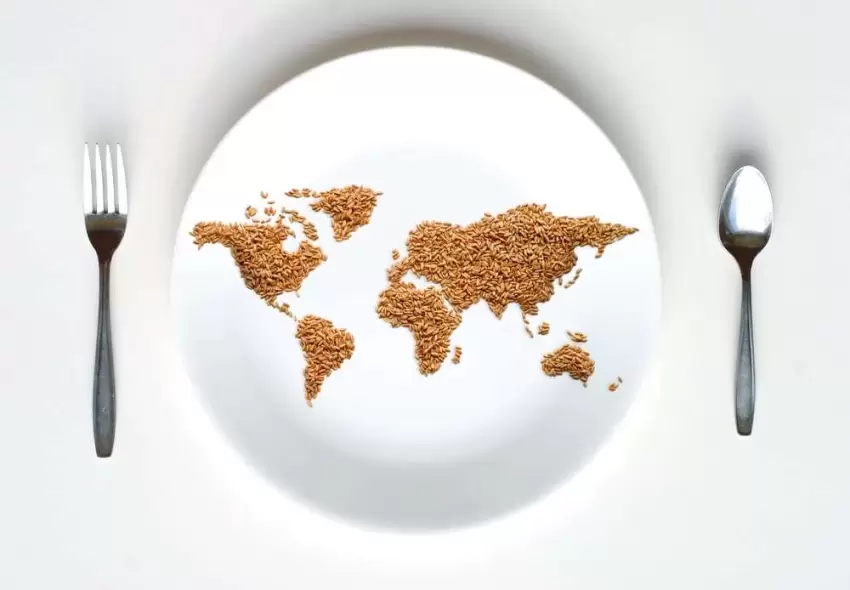 Aclıqla mübarizəyə qarşı dörd addım: planetin qida çatışmazlığından xilas edilməsi üçün strategiya təklif edilib