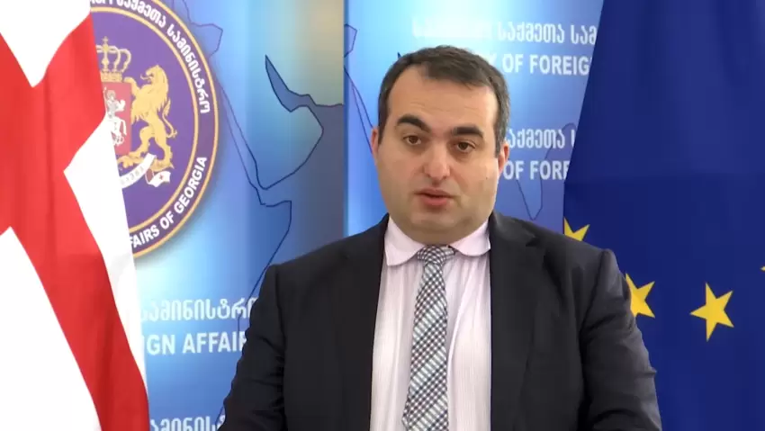 Laşa Darsaliya: "Cənubi Qafqaza yalnız regionun özü istədiyi məsələlərdə kömək etmək vacibdir"