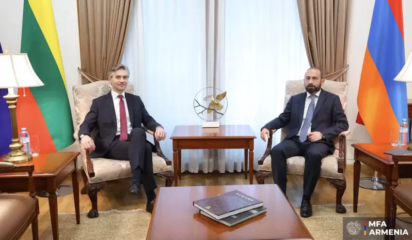Ermənistan və Litva xarici işlər nazirləri regionda baş verən prosesləri müzakirə edib