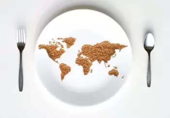 Aclıqla mübarizəyə qarşı dörd addım: planetin qida çatışmazlığından xilas edilməsi üçün strategiya təklif edilib