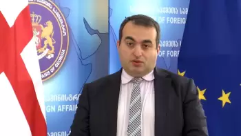 Laşa Darsaliya: "Cənubi Qafqaza yalnız regionun özü istədiyi məsələlərdə kömək etmək vacibdir"
