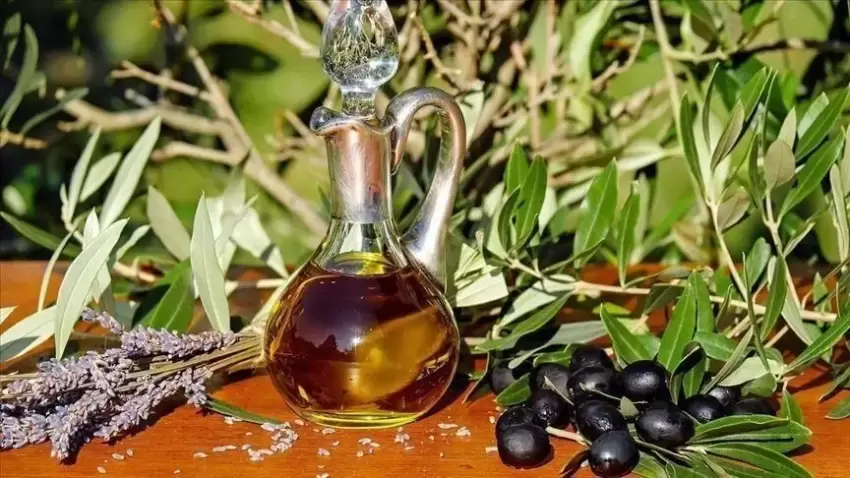 Avropada quraqlıq və isti hava məhsuldarlığa zərbə vurub, zeytun yağı bahalaşa bilər
