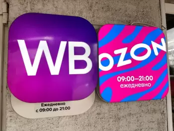 Nəşriyyatlar "Ozon" və "Wildberries" anbarlarına zərbələr nəticəsində 6 milyard rubl dəyərində 15 milyon kitab itirib