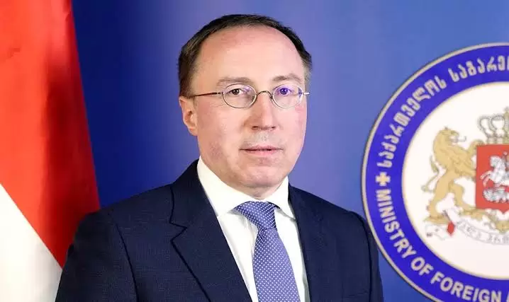 Gürcüstan Rusiya üzrə yeni xüsusi nümayəndə təyin etdi